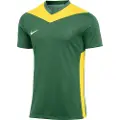 Nike Dri-fit Park Derby Iv Kortarmet T-skjorte