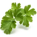 Click & Grow Click and Grow Smart Garden Refill 3-pack - Plain Parsley