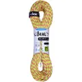 BEAL Ice Line Golden Dry 8.1 Mm Tau