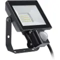 Signify FLOODLIHGT 20W 4000K 1900LM IP65 PIR-flomlys