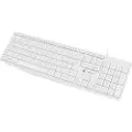 Natec NAUTILUS, Full størrelse (100 og), Koblet med ledninger (ikke trådløs), USB, Membrannøkkelbryter, QWERTY, Hvit