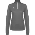 Adidas Entrada 22 Training Collegegenser