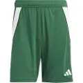 Adidas Tiro24 Shorts