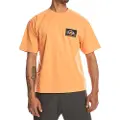 Quiksilver Back Flash Kortarmet T-skjorte
