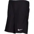 Nike Dri-fit Academy Pro 24 Shorts