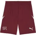 Puma Switzerland 2024 Shorts Men, Clothing, Regal Red/Red, M