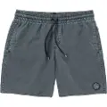 Volcom Center 17 Boardshorts grå