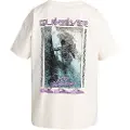 Quiksilver Back Flash Kortarmet T-skjorte