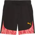 Puma Individualfinal Ff Shorts