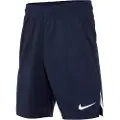 Nike Team Spike Youth Shorts