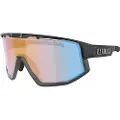 Bliz Vision Nano Optics Nordic Light Solbriller