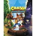 Steam Crash Bandicoot N. Sane Trilogy Key EUROPE