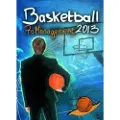 Steam Basketball Pro Management 2013 Key EUROPE