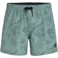 O'Neill Mix&match Cali Print 15´´ Badebukse