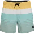 O'Neill Mix&match Cali Print 15´´ Badebukse