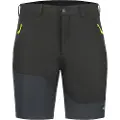 Icepeak Batavia Shorts