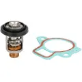 Sierra Yamaha 6h3-12411-11-00 Termostatsett