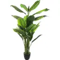 Atmosphera 170 Cm Deco Green Collection Kunstig Plante