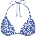Barts Des Triangle Bikinitopp