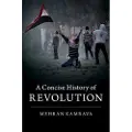CAMBRIDGE UNIVERSITY PRESS A Concise History of Revolution