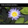Createspace Independent Publishing Platform The Lotus Sutra