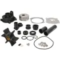 Sierra 5001595 Vannpumpepakke