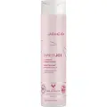 Joico Innerjoi Preserve Color Hårbalsam 300ml