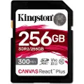 Kingston Sdr2/256gb 256gb Minnekort