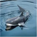 Mikamax RC Shark