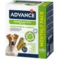 Affinity Advance 2 + 1 gratis! 3 x Advance hundesnacks - Dental Mini Sticks 3 x 360 g