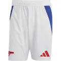 Adidas Arsenal Fc 24/25 Hjem Shorts