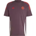 Adidas Fc Bayern Munich 24/25 Kortarmet T-skjorte