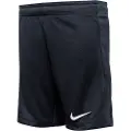 Nike Dri-fit Strike 24 Shorts