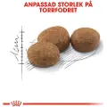 Royal Canin Sterilised 37 - Økonomipakke 2 x 10 kg