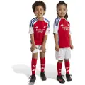 Adidas Arsenal Fc 24/25 Hjem Juniorsett