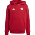 Adidas Fc Bayern Munich 24/25 Junior Hettegenser