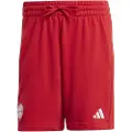Adidas Fc Bayern Munich 24/25 Dna Shorts