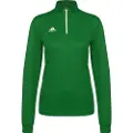 Adidas Entrada 22 Training Collegegenser