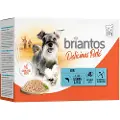 Briantos Økonomipakke Briantos Delicious Paté 48 x 100 g - Laks