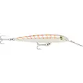 Rapala Countdown Magnum Sinking Minnow 24g 180 Mm