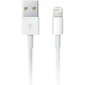 Apple Lightning to USB Cable - 1m