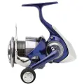 Daiwa Team R 2024 Karpefiskesnelle