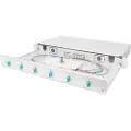 Digitus Professional - Spleiseboks for fiberoptikk - LC MM X 6 - grå, RAL 7035 - 1U - 19