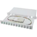 Digitus Professional DN-96321/3 - Spleiseboks for fiberoptikk - SC Duplex MM X 12 - grå, RAL 7035 - 1U - 19