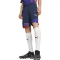 Puma Final Shorts