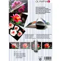 Olympia - 100-pack - gjennomsiktig - lamineringspunger