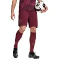 Puma Manchester City Fc 24/25 Shorts