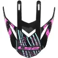 LS2 Mx437 Evo Verve Visir