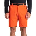 Dare 2b Tuned In Shorts