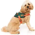 Fuzzyard Commando Hundesele